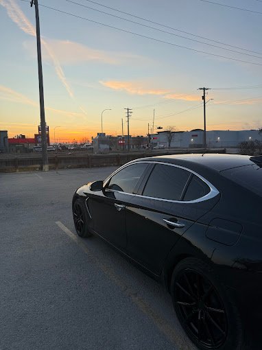 Edmonton tint supplier